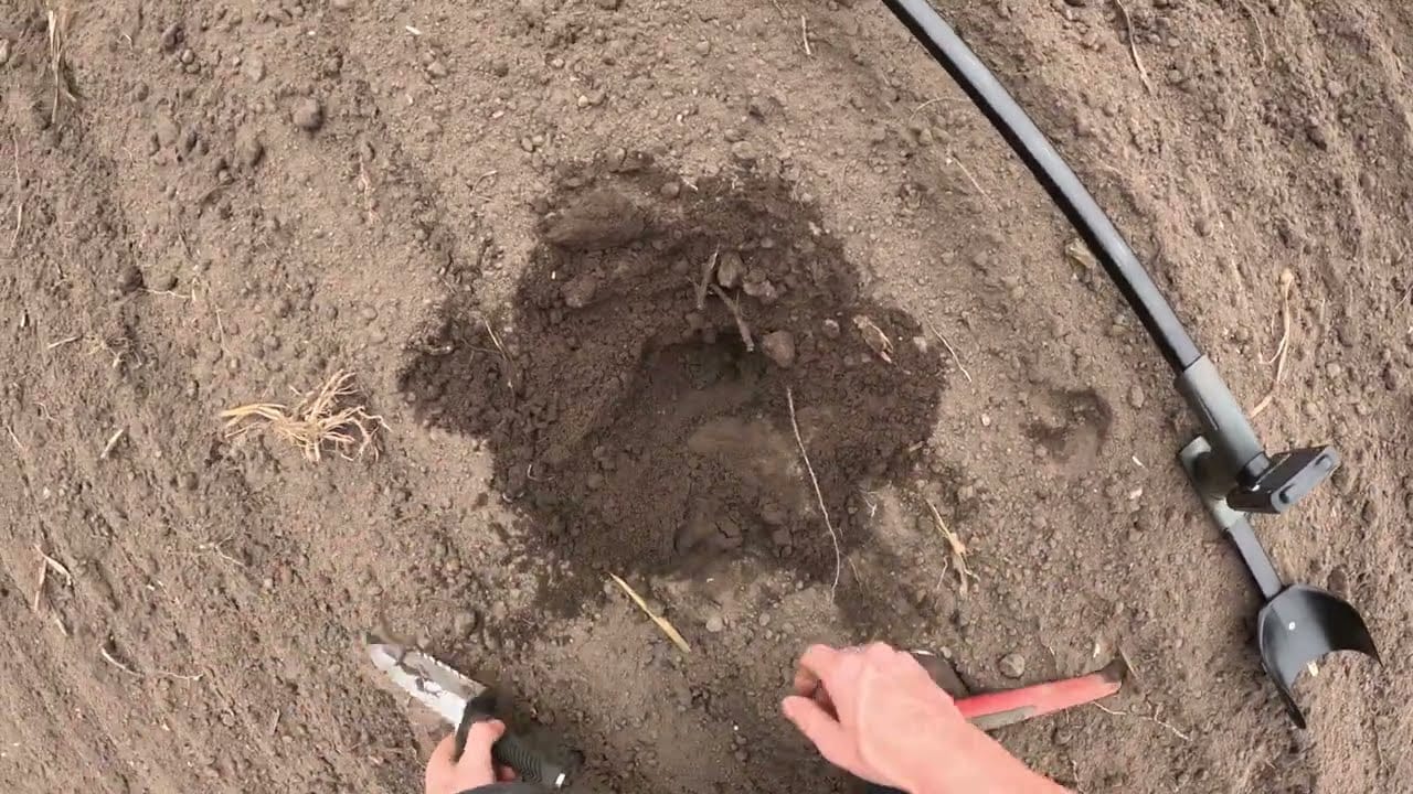 Eine Person gräbt mit einer kleinen Kelle und einer Nadelspitze ein Loch in die Erde, möglicherweise auf der Schatzsuche nach vergrabenen Gegenständen oder Schätzen, während ihr Metalldetektor in der Nähe liegt.