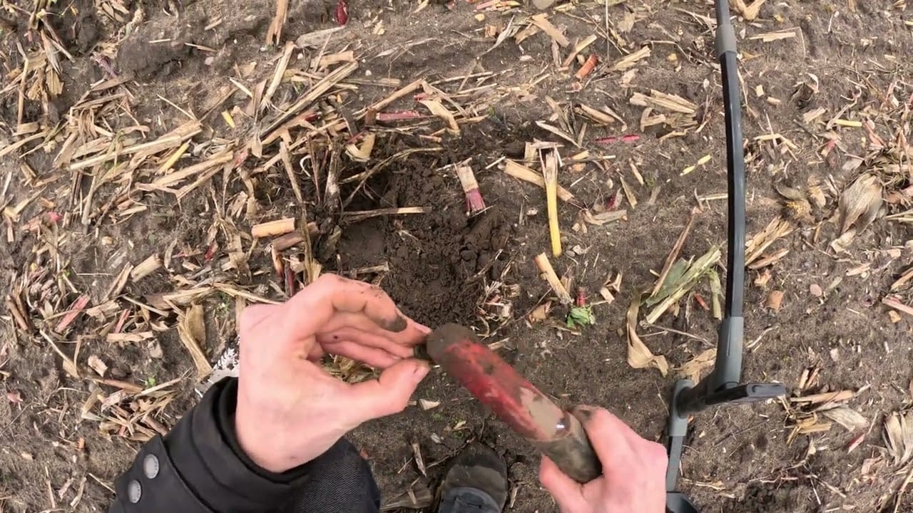 Eine Person hält ein schlammiges Grabwerkzeug und einen kleinen Metallgegenstand über ein Loch im Boden, das mit trockenen Maisstängeln übersät ist, und sucht möglicherweise nach etwas, das beim Metalldetektieren auf einem Feld garten verloren oder ring verloren gefunden wurde.