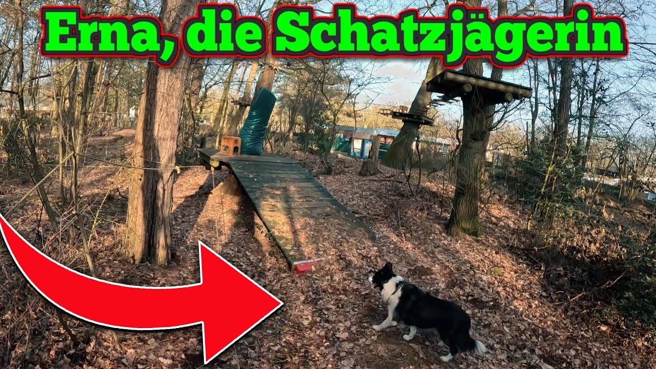 Ein schwarz-weißer Hund steht in einem bewaldeten Gebiet in der Nähe einer Holzrampe, bereit für eine Schatzsuche mit Metalldetektor. Oben steht in großer Schrift "Erna, die Schatzjägerin", und ein großer roter Pfeil zeigt auf den Hund.